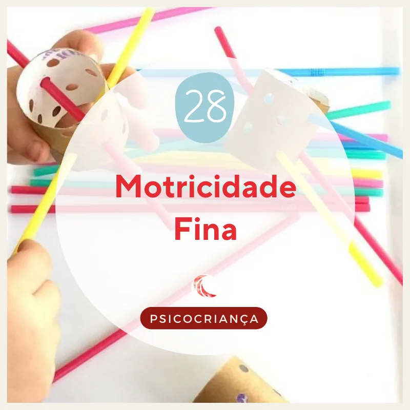 Atividade: Motricidade Fina